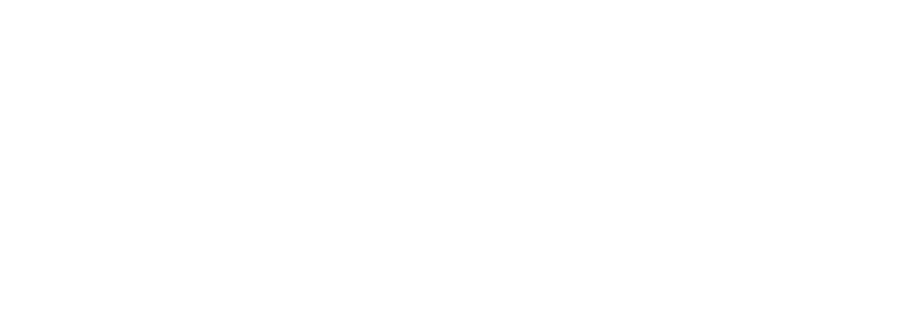 asset 6 1 1024x348 white 1.png